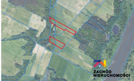 Grunt Rolny w Dąbrowie